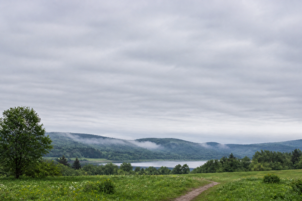 What is the difference between fog and clouds? A low cloud layer