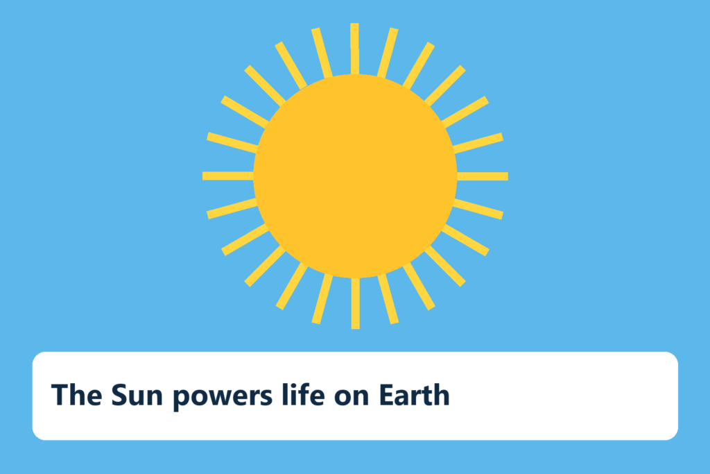 The Sun powers life on Earth