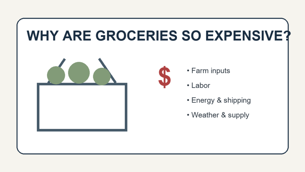 Why are groceries so expensive? Illustration of a grocery basket and major food cost pressures.