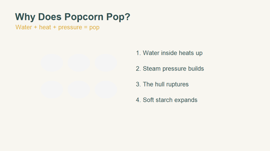 Why does popcorn pop illustration of heat, steam pressure and expanding starch