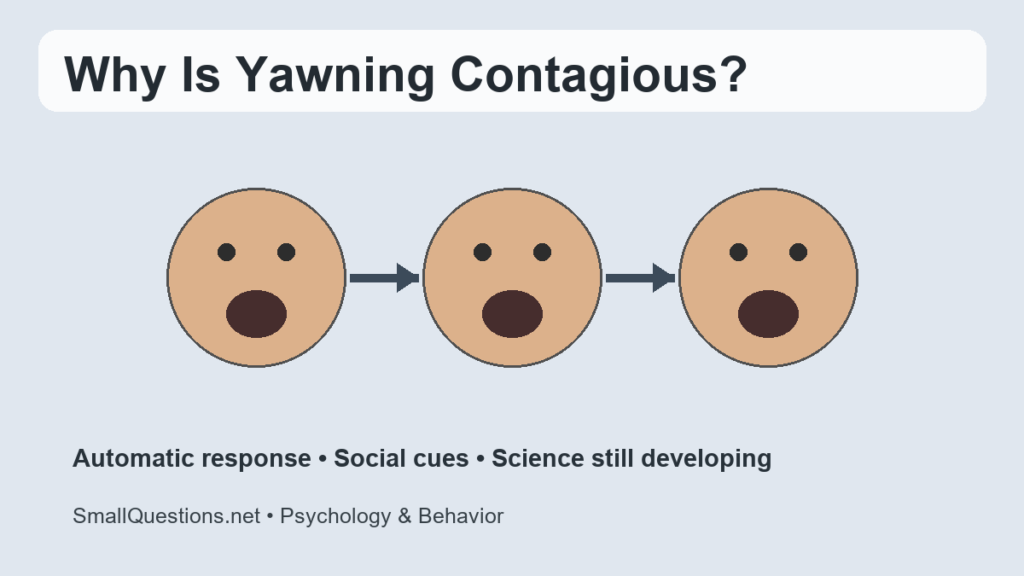 Why is yawning contagious? People yawning after seeing others yawn