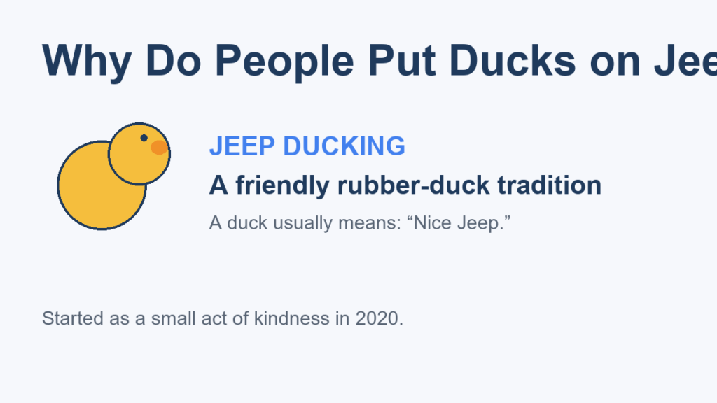 Why do people put ducks on Jeeps? Jeep ducking explained